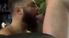 Bearded Guy Suck And Swallow